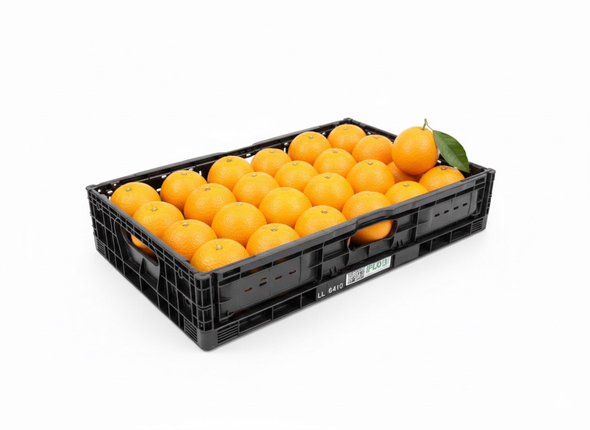 ALVEOLO ENCAJADO 7KG – 8KG