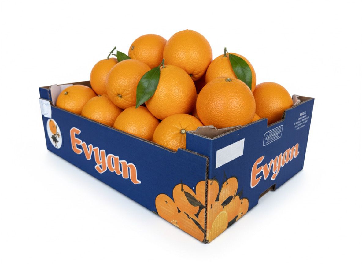 CAJA CARTON 15KG (2)