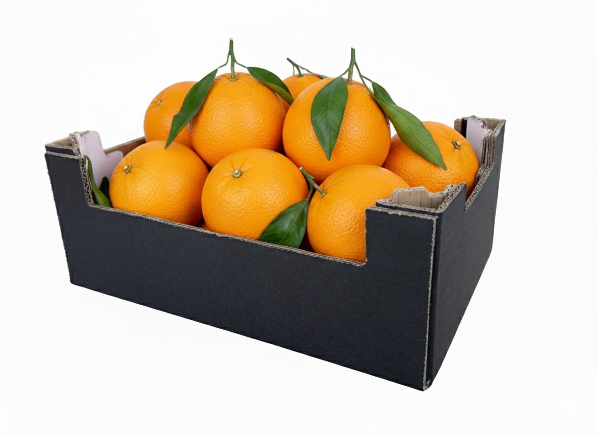 CAJA CARTON PITUFO 2KG, 2,3KG, 3,5KG, 4KG.