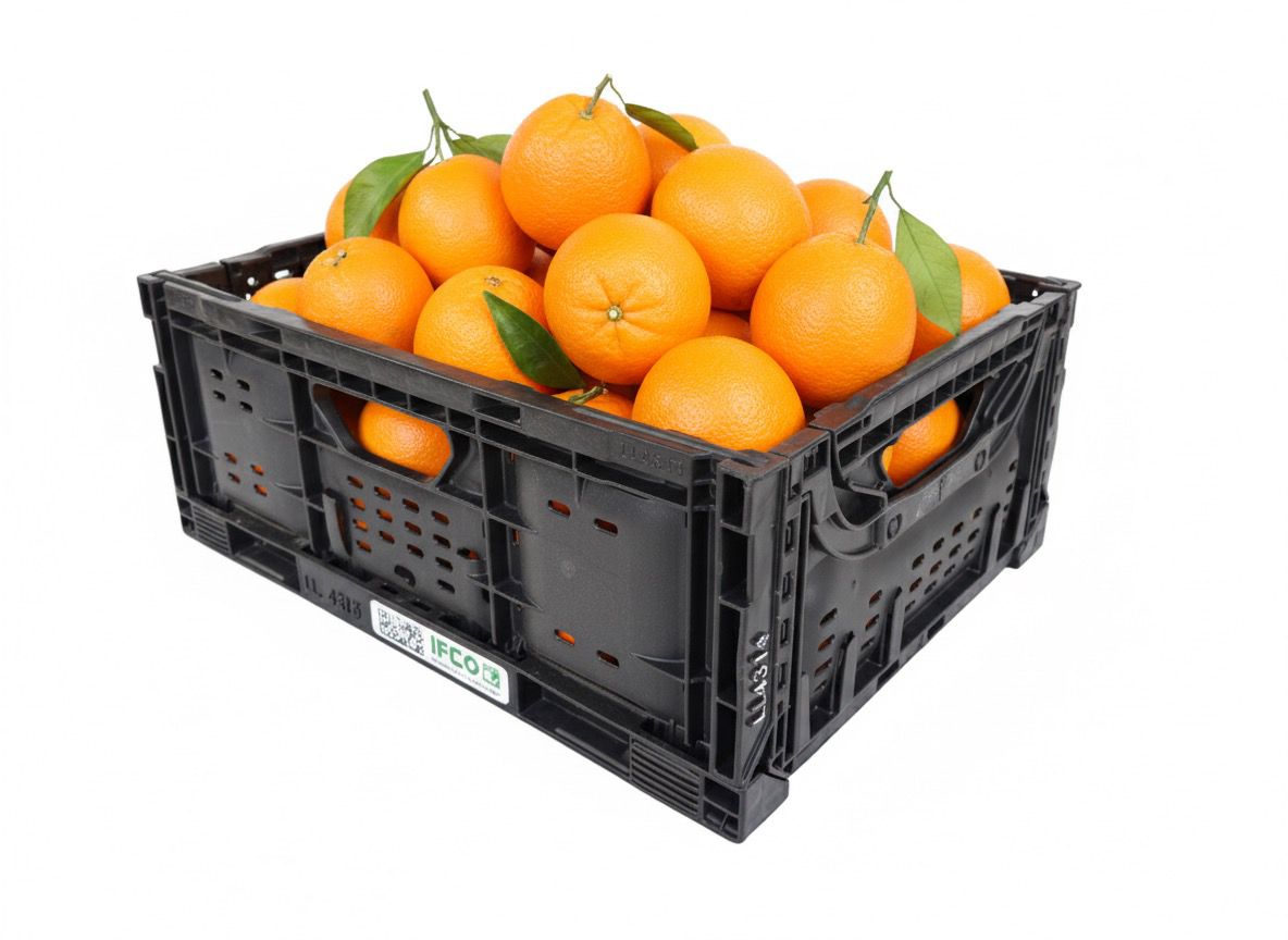 CAJA IFCO 12KG NARANJA